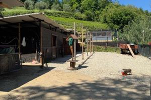 Terreno con maneggio