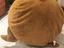 Immagine 3