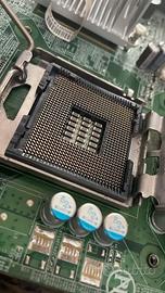 scheda madre gigabyte ga-8i915g-mf lga775 ddr agp