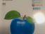 Immagine 1