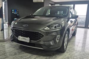 Ford Kuga 1.5 EcoBlue 120 CV aut. 2WD Titanium Bus