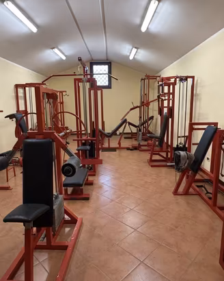 Palestra completa intera in blocco anni 90