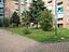 Immagine 25