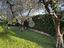 Immagine 28