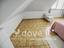Immagine 21