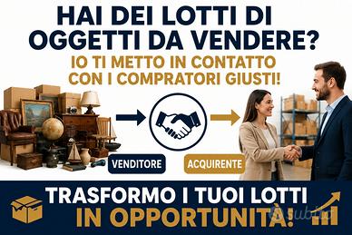 hai un lotto di oggetto da vendere?