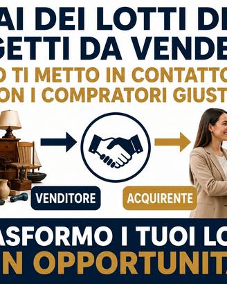 hai un lotto di oggetto da vendere?