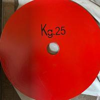 COPPIE DISCHI POWERLIFTING CALIBRATI