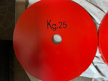 COPPIE DISCHI POWERLIFTING CALIBRATI