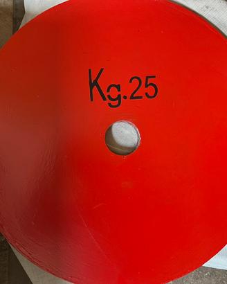 COPPIE DISCHI POWERLIFTING CALIBRATI