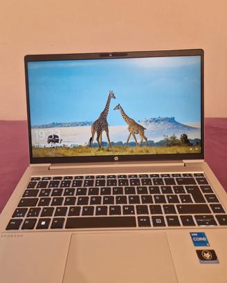 HP Probook 440 G10 13th.16/512 SSD