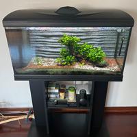 Acquario 80l Tetra con mobile
