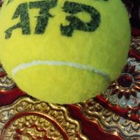 pallina usata ATP Torino 2023