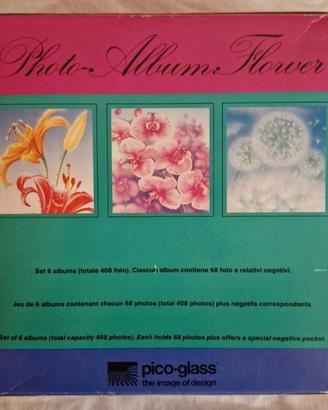 Set 6 album fotografici vintage Picoglass