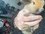 Immagine 2