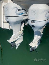 Motore Fuoribordo 115 cv