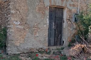 Rustico con terreno