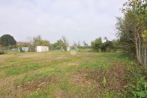 TER. AGRICOLO A BOLOGNA
