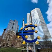 Babysitting bambini elementari e ragazzini medie