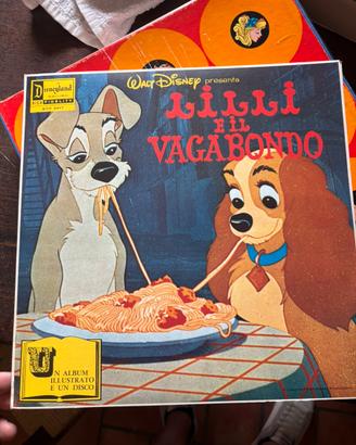 Dischi in vinile 33 giri