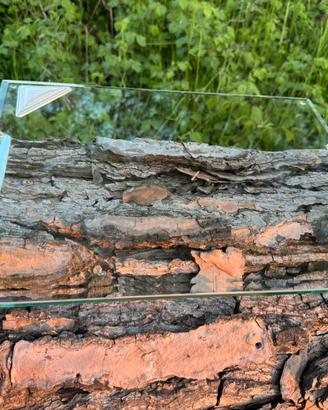 Vassoio in vetro temperato e argento