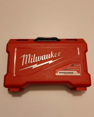 Punte multilaterale-metallo e inserti Milwaukee