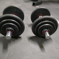 Manubri palestra Domyos, peso per manubrio 10,5 kg