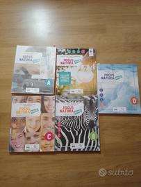 focus natura green A-B-C-D 