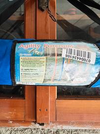 Set Agility dog completo 