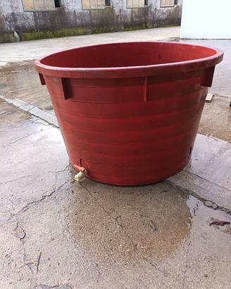 Mastello uva 1000 litri