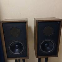 diffusori made in USA RTR