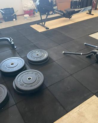 Pavimento palestra