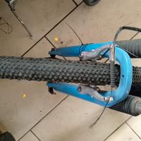 bicicletta da ragazzo 