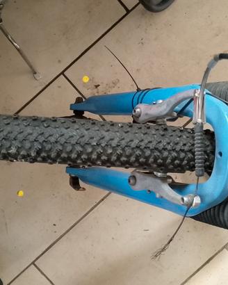 bicicletta da ragazzo 