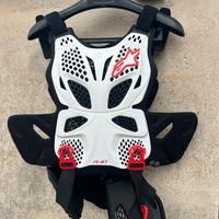 Pettorina Alpinestar A-10