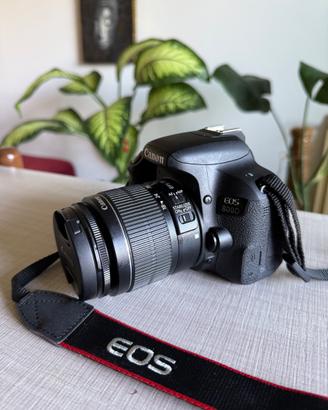 Canon EOS 800 D