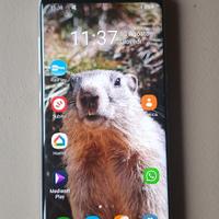 Samsung Galaxy S8