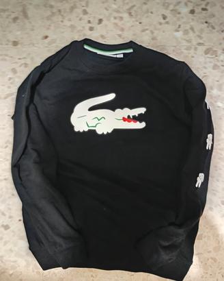 felpa lacoste