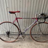 Colnago Seuper Art Decor