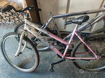 Bicicletta Frejus mtb frj 580