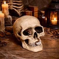 Salvadanaio teschio decorativo stile Ghotic/Horror