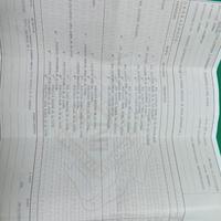 Dogo argentino con pedigree