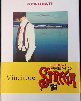 Mario Desiati, Spatriati. Romanzo 