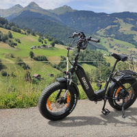 Bicicletta elettrica Eskute Star e-bike