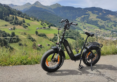 Bicicletta elettrica Eskute Star e-bike