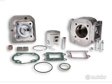 Kit Malossi 317559