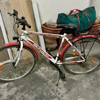 Bici da uomo “Schiano Traffic”