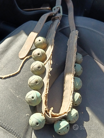 Campanelle per cavallo