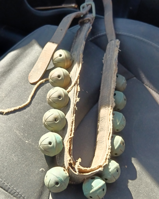 Campanelle per cavallo