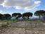 Immagine 7
